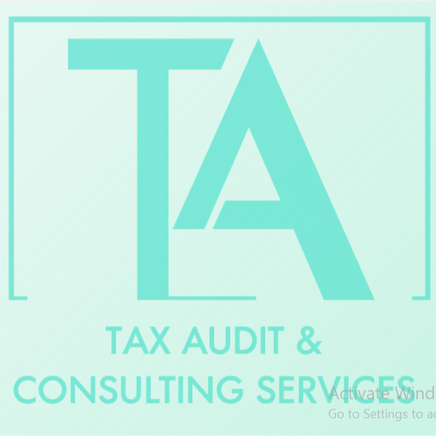 Tax Audit and Consulting Services