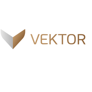 VEKTOR LLC